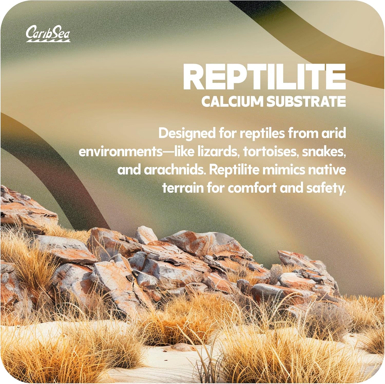 CaribSea Reptiles Calcium Substrate Sand - 20 lb Each - Natural White Sand for Reptile Terrariums, Promotes Healthy Habitat & Optimal Calcium Levels (Pack of 2) - Happypetzone.online - Image 2