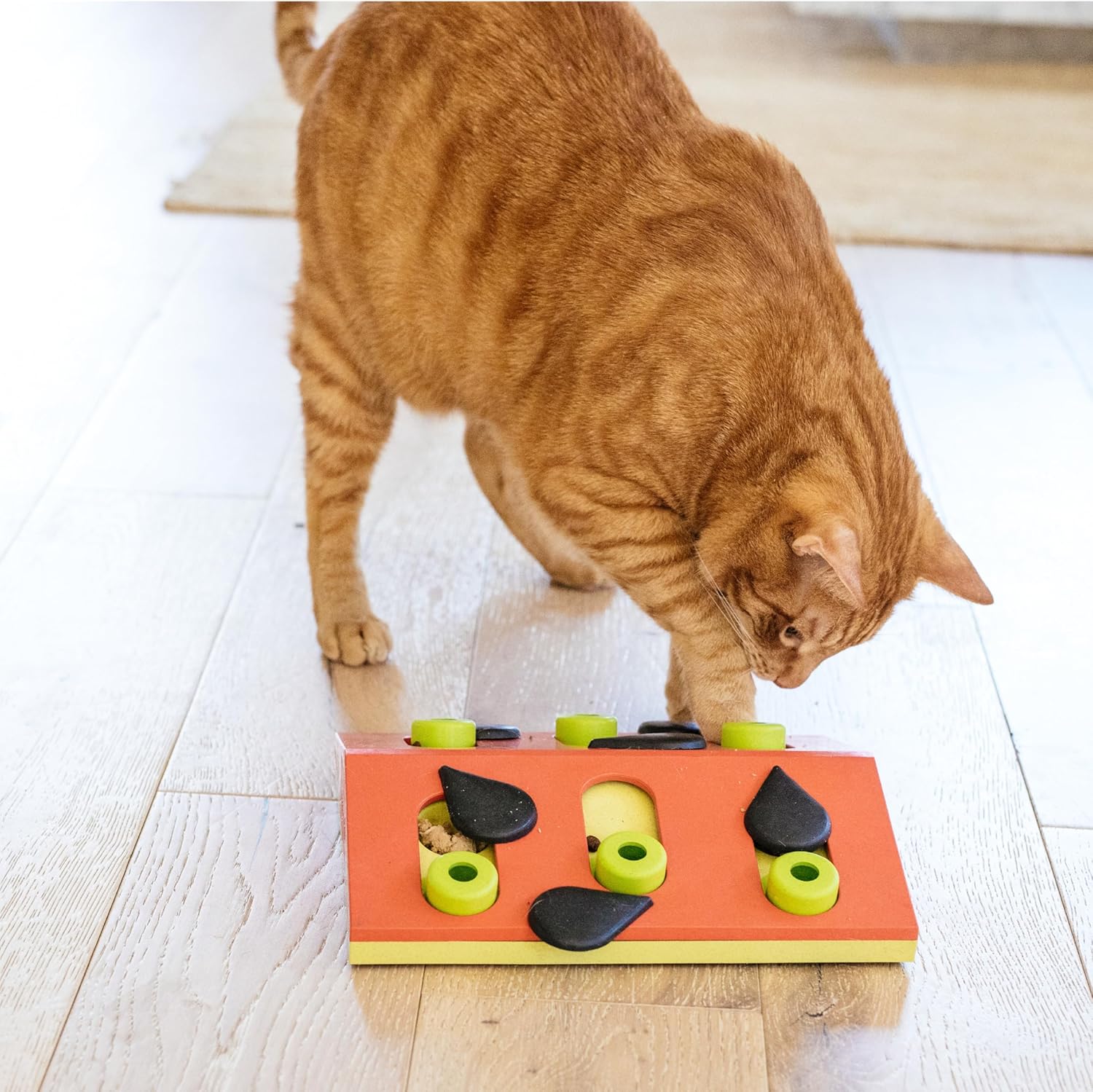 Catstages by Nina Ottosson Melon Madness Puzzle & Play – Interactive Treat Puzzle Feeder for Cats, 12 Hidden Treat Compartments Slow Feeder, Durable & Easy-Clean, 10 Inches, Pink - Happypetzone.online - Image 8