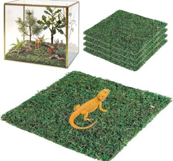 reptile substrate for humidity