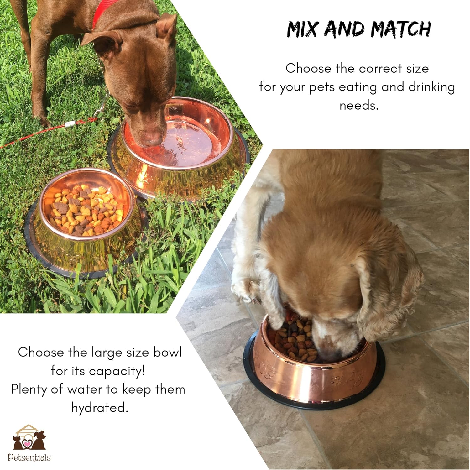 Petsentials Non-Skid Stylish Food Bowl for Your Pet, Premium Grade Stainless Steel - Elegant Bronze - Happypetzone.online - Image 3