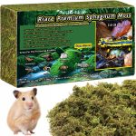 reptile substrate for humidity