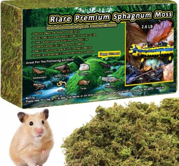 reptile substrate for humidity