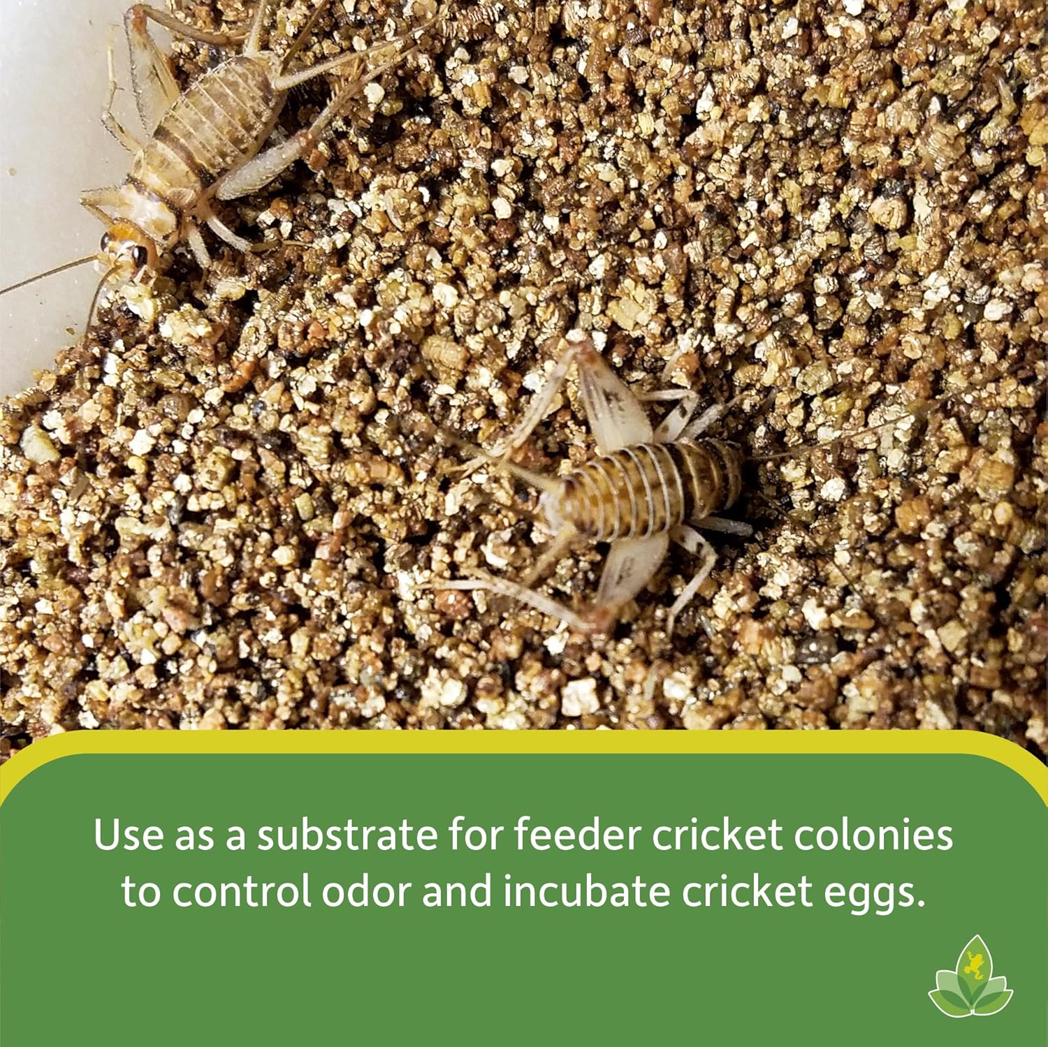 Josh's Frogs Vermiculite for Incubating Reptile Eggs, Housing Crickets and Starting Seeds (10 Quarts) - Happypetzone.online - Image 4