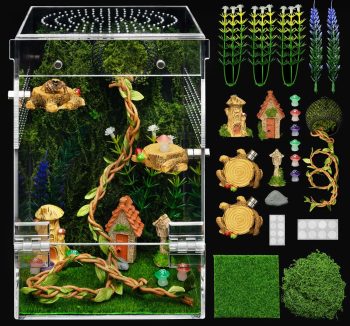 reptile habitat setup kit