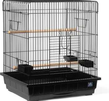 bird cage amazon best