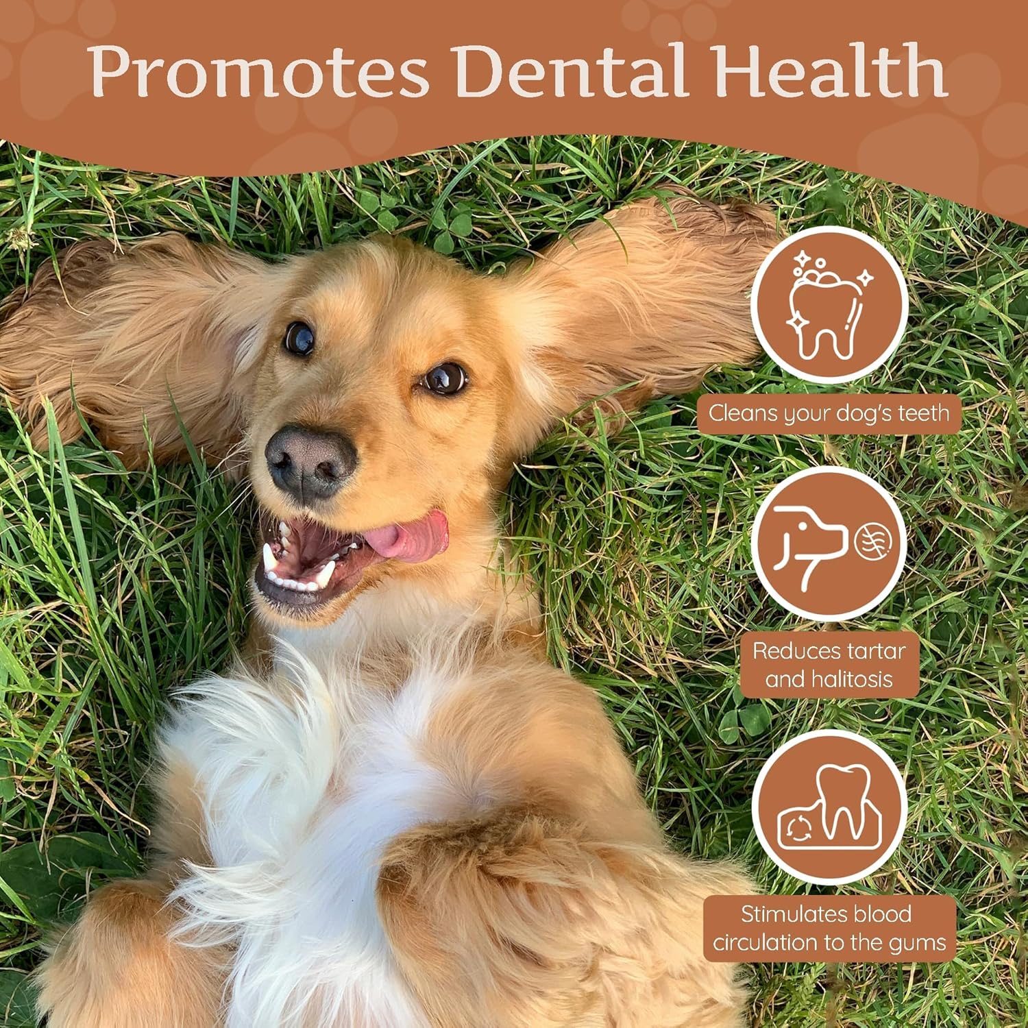 Wildfang® Coffee Wood Dog Chew, Medium - Tough Chew Toys for Aggressive Chewers, Dog Teething Toys for Puppies, Training for Chewing Muscles, Coffee Tree Sticks for Medium Dogs (33-55 lbs) - Happypetzone.online - Image 8