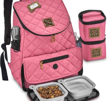 best dog travel gear