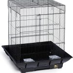 small pet living space