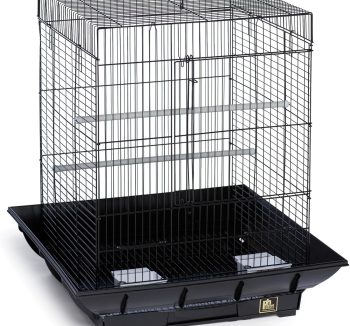 small pet living space