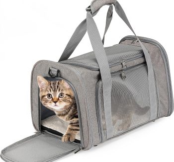 dog travel bag