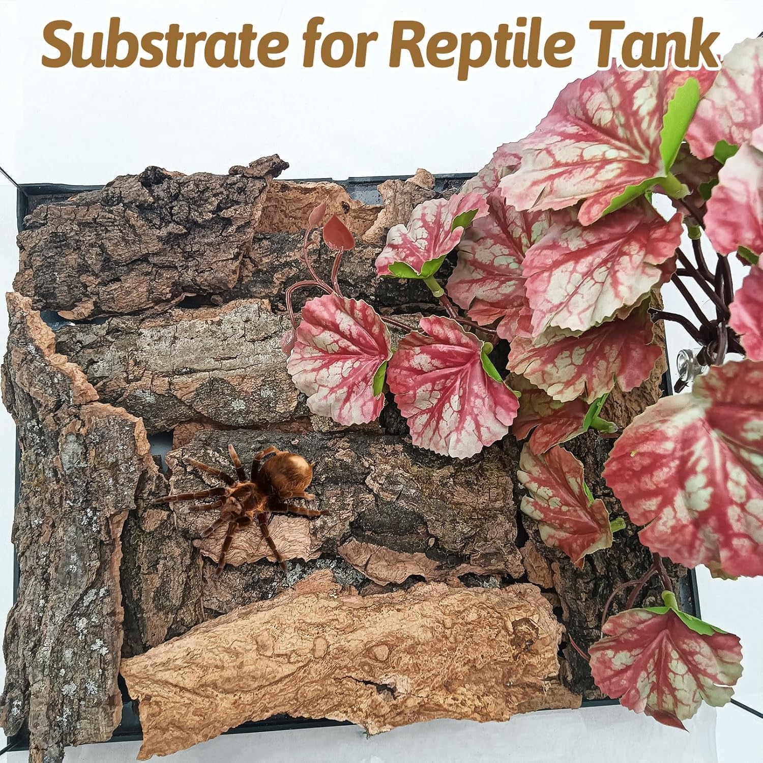 BNOSDM Reptile Cork Bark Substrate 1LB Tortoise Bedding for Habitat Natural Flat Cork Wood Bulk Terrarium Reusable Champagne Bark for Lizard, Crested Gecko, Spider, Chameleon, Ball Python, Tree Frog - Happypetzone.online - Image 6