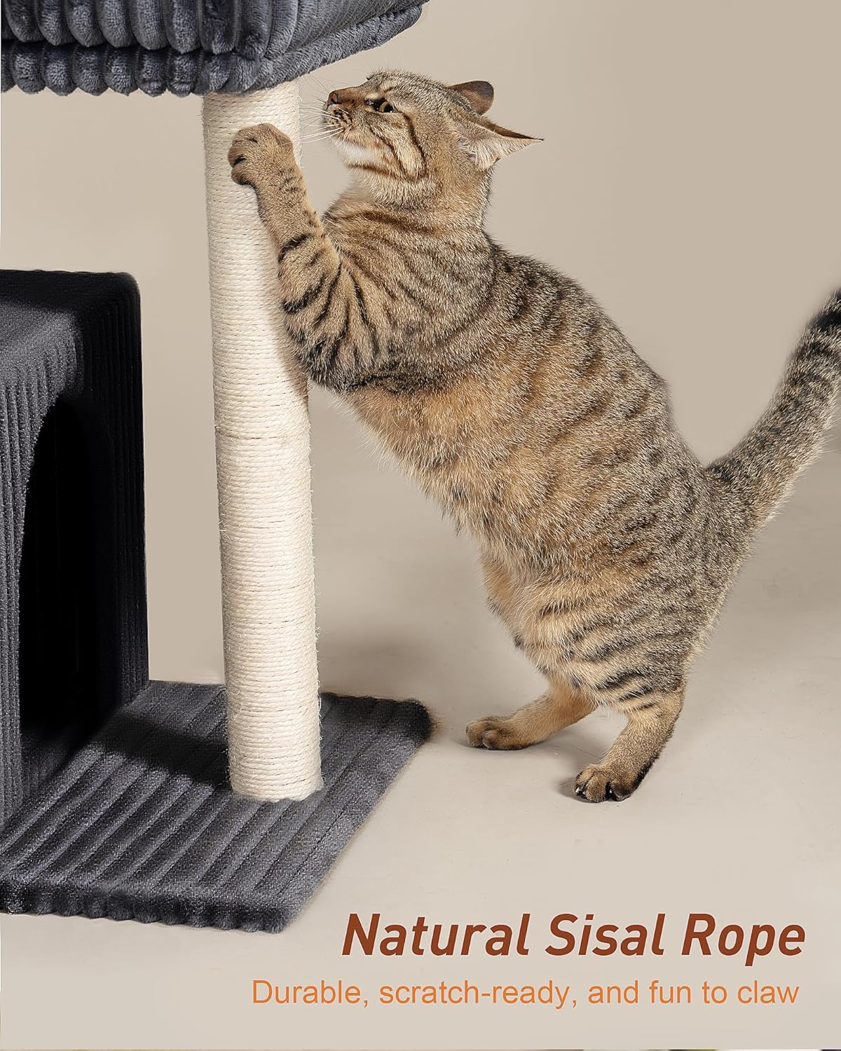 Cat Tree for Large Cat, 20.9 * 15.7in Large Perch Bed for Adult Cats, 22.8in Cat Tower with Scratching Post, Cat Condo with 2-Door for Indoor Cats, Dark Gray - Happypetzone.online - Image 5