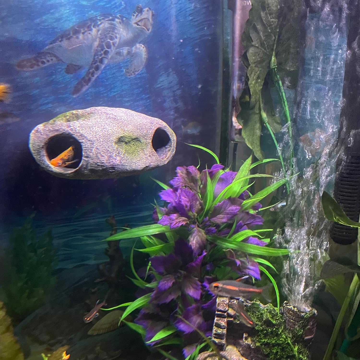 fish tank for home decor