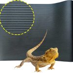 bearded dragon substrate