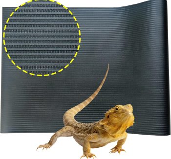 bearded dragon substrate