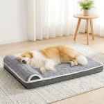 orthopedic dog bed