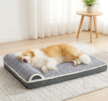 orthopedic dog bed