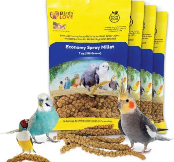 bird pellets food