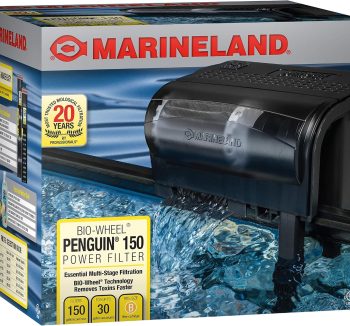 aquarium filter energy efficient