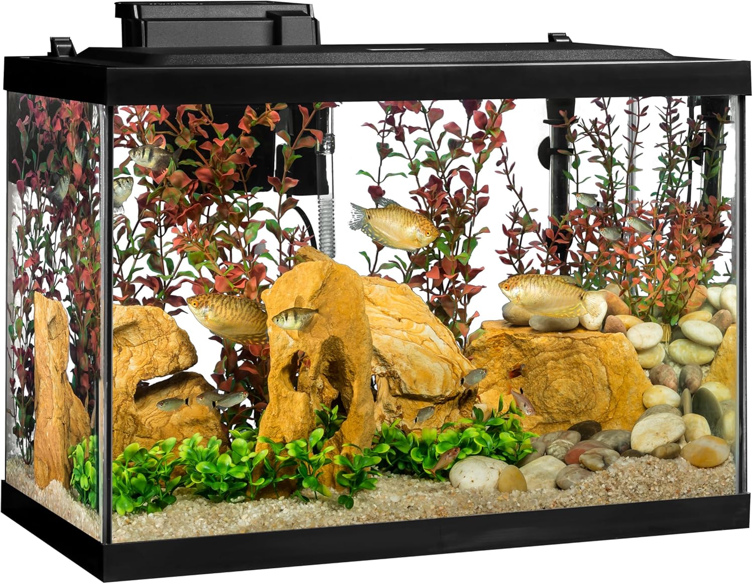 Tetra Whisper Bio-Bag Large Filter Cartridges for Aquariums, 12 Count, Unassembled, Fits Tetra Whisper Fish Tank Filters 10-30 Gal, 20-40 Gal, PF-20, 30, 40, 60, IQ 20, 30, 45, 60 - Happypetzone.online - Image 7