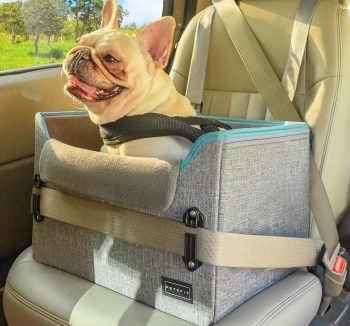 dog car booster seat