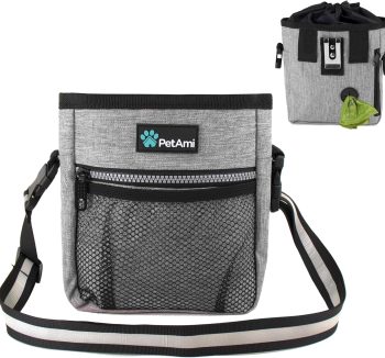 dog walking accessories