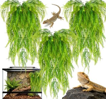cheap reptile accessories
