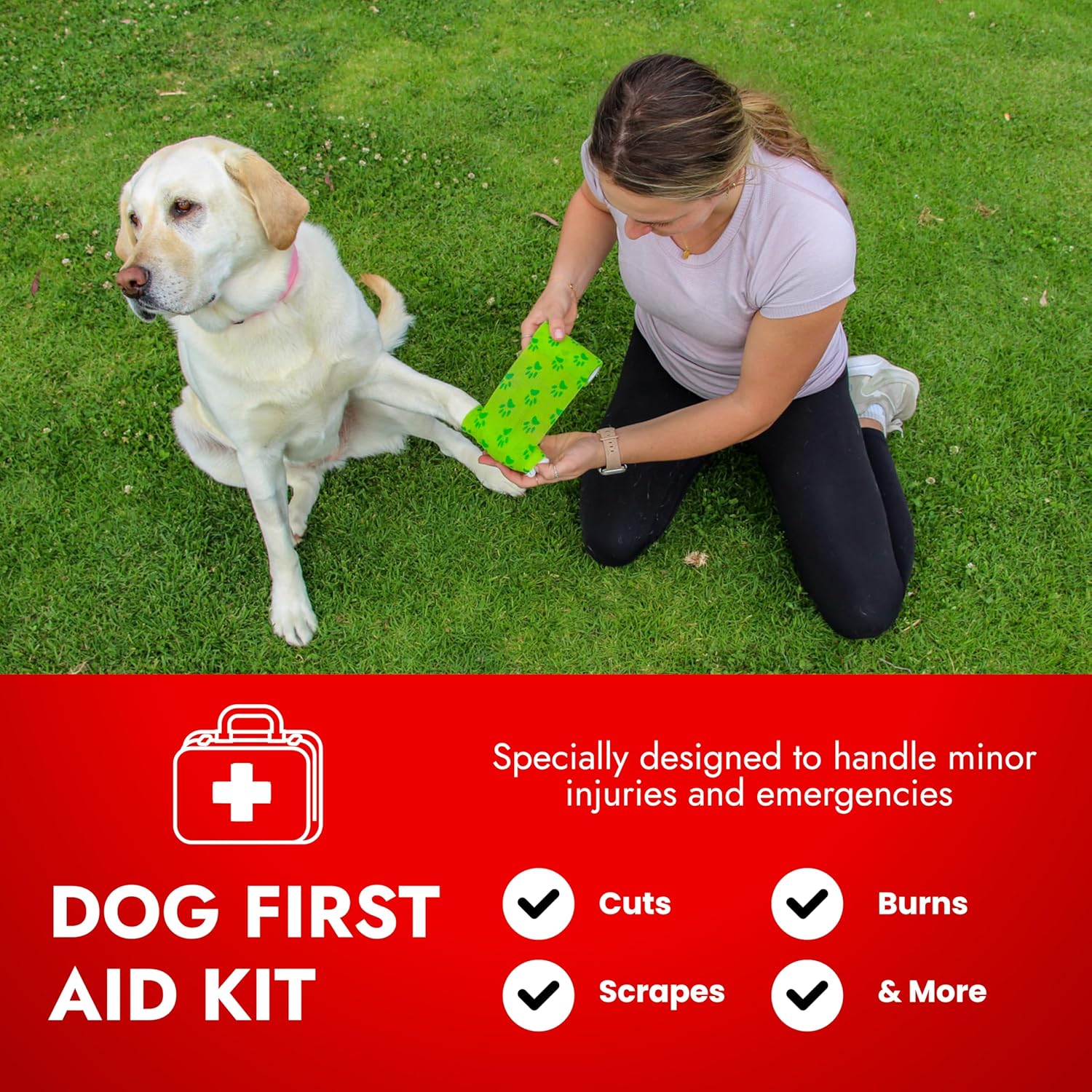 Cat & Dog First Aid Kit - Dog Emergency Kit, Health Supplies & Wound Care -with Thermometer, Bandages for Wounds - Essentials, Travel Bag (Small) - Happypetzone.online - Image 2