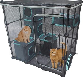cat accessories amazon
