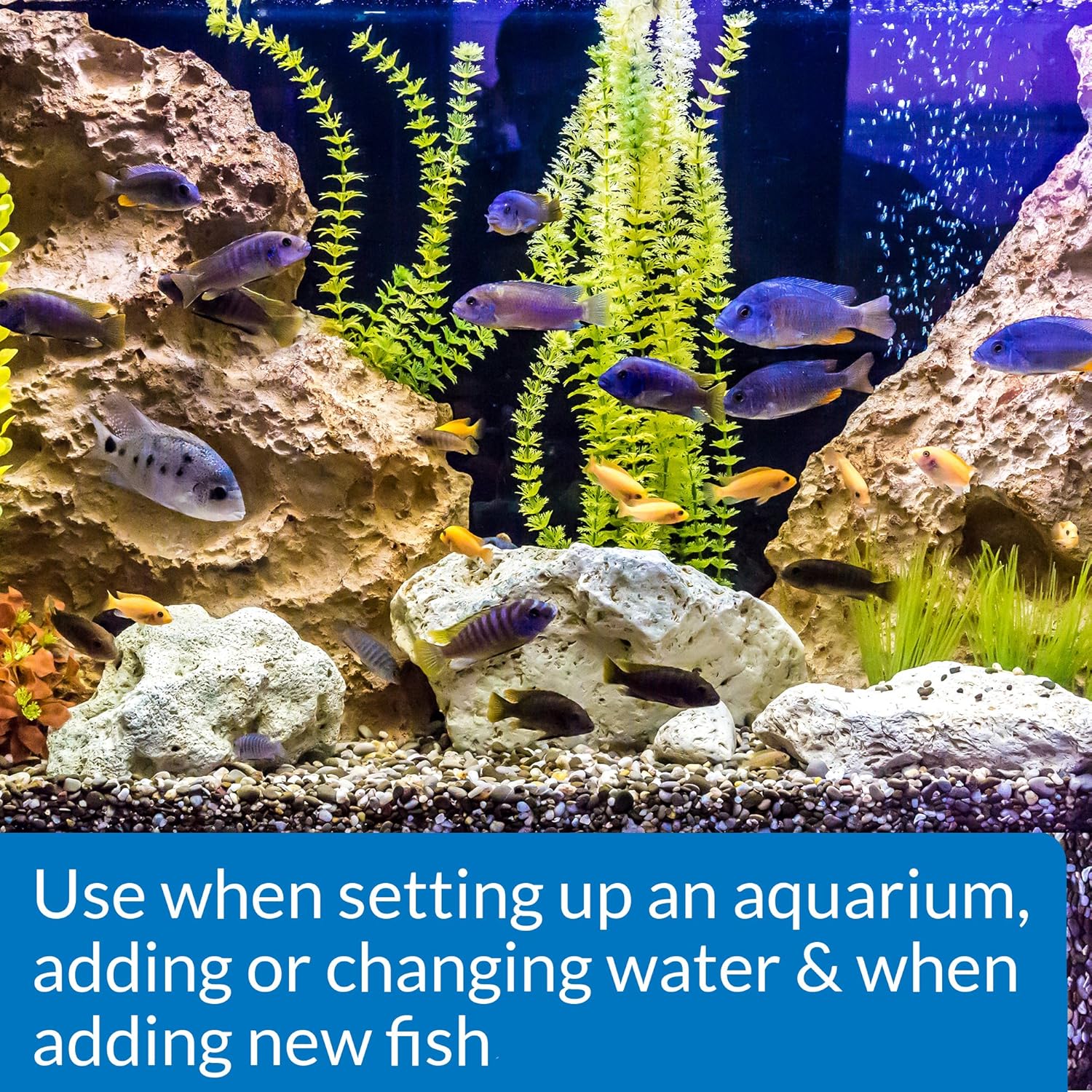 API QUICK START Freshwater and Saltwater Aquarium Nitrifying Bacteria 1-Ounce Bottle, Blues & Purples - Happypetzone.online - Image 2