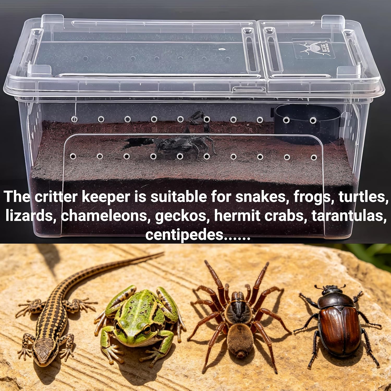 Tlence 2 Pack Critter Keeper, 12.6"x8.7"x6" Clear Plastic Enclosure Terrarium, Portable Transport Container with Feeding Bowl, Small Hatching Container with Ventilated Lid for Snake, Lizard, Gecko - Happypetzone.online - Image 5