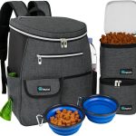 best dog travel gear