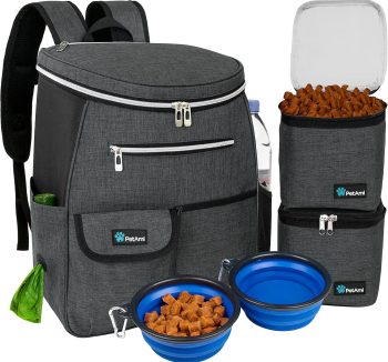 best dog travel gear